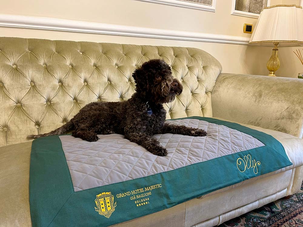 Grand-Hotel-Majestic-Pet-Friendly.jpg